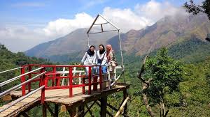Terdapat 18 tempat wisata di kab lombok timur. Taman Wisata Pusuk Sembalun Rumah Besar Bagi Bukit Selong Dan Desa Beleq