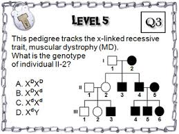 These diagrams make it easier to visualize relationships within families, particularly large extended families. Pedigree Activity High School Biology Escape Room Genetics And Heredity Unit