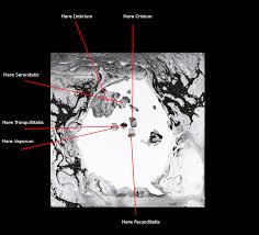 Radiohead A Moon Shaped Pool Real Moon Map 1076x974 R Spaceporn Moon Map Moon Shapes Radiohead