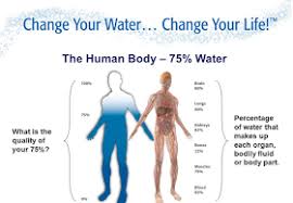 The human body needs a lot of water to function correctly, and a person may only survive a few days without it. Importance And Main Function Of Water In Human Body Education And Information Technology Information For Education Spiritual Divine Available