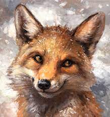 winter coat by kenket kedi tilki suluboya