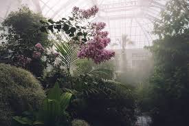 Misting systems atomization pressurized liquids, such as water, into aerosol particles of micron size that are dispersed evenly into. The 3 Best Greenhouse Misting Systems On The Market Greenhouse Info