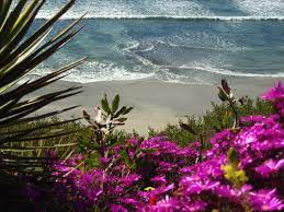 The View Of The Beach From The Top Of The Cliff At The Meditation Park Located At The Self Realization Fellowship Ins Meditation Garden Ocean Garden Meditation