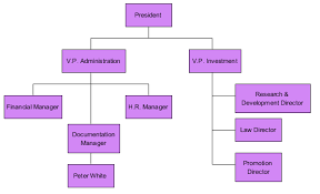 How Can I Create Organizational Structure In Servicenow