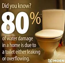 Did You Know 80 Of Water Damage Is Due To A Toilet Either Leaking Or Overflowing For Any Toilet Leak Or Clog There S Eve Leaking Toilet Water Damage Toilet