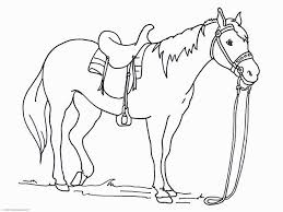 Western adventure coloring book for kids: Get Everything You Need Starting At 5 Fiverr In 2021 Horse Coloring Pages Animal Coloring Pages Horse Coloring