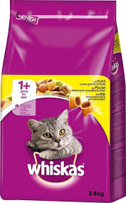 Pin On Cats Stuff