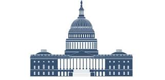 The nomination is submitted by the president in writing to the senate. Difference Between Parliamentary And Presidential Form Of Government Key Differences