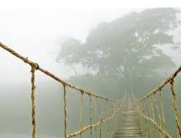 Image Result For Ikea Bridge Canvas