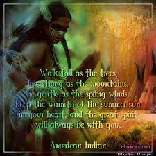 Dreamweaver Native American Quotes American Indian Quotes Native American Wisdom