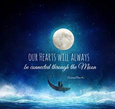 He died every night to let her breath.. 31 Inspirational Quotes With The Moon Best Quote Hd