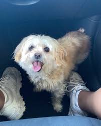 Hailey Uran (@haileyuran) • Instagram photos and videos