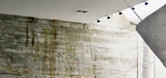 While sum of days is on view, the museum's atrium will be illuminated by vertical white neon. Carlito Carvalhosa Artpil