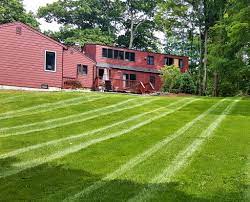 Cw green lawn and home maintenance services llc is a handyman and window contractor in middletown, ct. Lawn Property Maintenance Riley Tree And Landscaping L L C