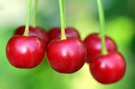 Jesus Deserves More He Deserves A 100 Fold Harvest Out Of You And I Do You Want That Are You Comm Health Benefits Of Cherries Best Fruits Best Fruits To Eat