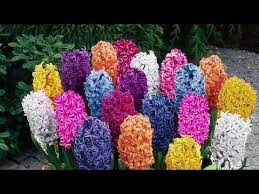 Pin On Garden Pots