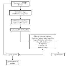 Flowchart Of Spindel Workbench Information Processing For