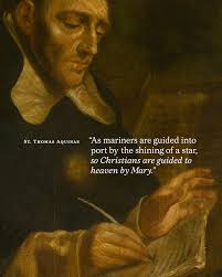 As mariners are guided into port by the shining of a star, so Christians  are guided to heaven by Mary.”