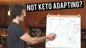 The mainstay of your keto diet will be 75 percent healthy fats, 20 percent protein and 5 percent carbohydrates. 208 Keto Adaptation And The Gut Liver Axis High Intensity Health Mike Mutzel