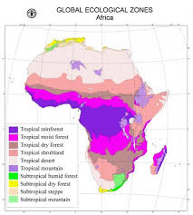Congo river from mapcarta, the free map. Intro Congo Ecoregions Ecology Global Forest Atlas