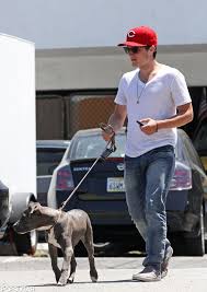 Josh Hutcherson Panosundaki Pin
