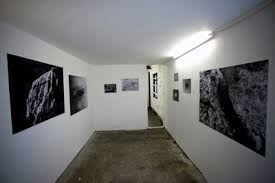 Bildergebnis für Duarte AMARAL NETTO