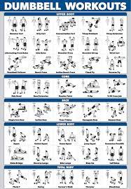 Dumbbell Workout Chart Free Weight Workout Dumbbell Workout Dumbbell Workout Plan