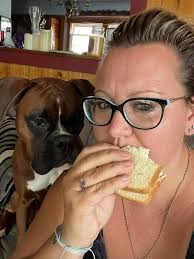 Oats in bowls, plushie guts in corner