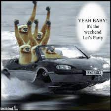 Yeah Baby It S The Weekend Lets Party Animated Friend Weekend Friday Gif Sunday Saturday Greeting Weekend Qu Happy Weekend Images Weekend Quotes Happy Weekend