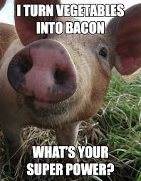 David Voth On Twitter Cute Pigs Farm Humor Funny Animal Pictures