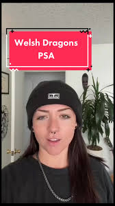 #stitch with @simbah🌹 A Very Serious PSA. Beware the Welsh dragons.  #welshdragon #welshwitchcraft #welshwitchtok obviously this is a joke. I  can’t believe I have to say that but folks seem to take me ...