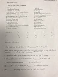 Maybe you would like to learn more about one of these? Match The Organelle To Its Function A Turgor Chegg Com