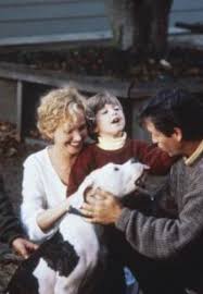 La famille seaver part camper au canada avec shadow, le vieux golden retriever, chance, le fougueux bouledogue americain, et sassy, la delicate chatte himalayenne. L Incroyable Voyage 1992 Un Film De Duwayne Dunham Premiere Fr News Date De Sortie Critique Bande Annonce Vo Vf Vost Streaming Legal