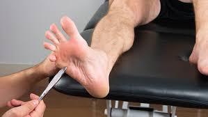 Image result for Supinator Reflex