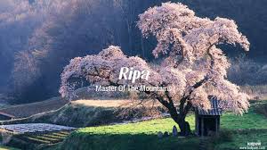 र प Ripa Name Meaning In Hindi Latest Indian Baby Girl Names Rashi Nakshatra Numberology