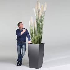 Textilpflanzen Graservariation Aus Drei Graser Mit Gefass Pflegeleichte Pflanzen Pflanzen Gras