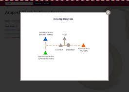 Kinship Chart Wire Frame Sketches Concepts