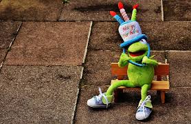 kermit, katak, mewah, mainan, mengenakan, topi ulang tahun, duduk, coklat,  bangku, Kermit si katak | Pxfuel