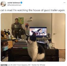Watch the first trailer above. Ujaj1y2uq5ycfm