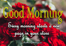Beautiful good morning images | good morning images with quotes | good morning images with flowers. 100 Good Morning Images Download For Whatsapp 2020 Good Morning
