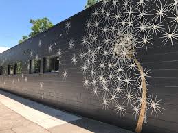 *all links on this page are affiliate links, meaning i get commissions for purchases made through those links on this page at no additional cost to you. Your Guide To Outdoor Murals In The Greater Sacramento Area