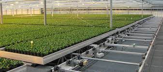 Pin By Anping Tiancheng Agricultural On Https Www Shinygrow Com Modern Greenhouses Hydroponics System Planting Flowers