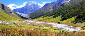 Maybe you would like to learn more about one of these? Valley Of Flowers About Valley Of Flowers Valley Of Flowers Tourism