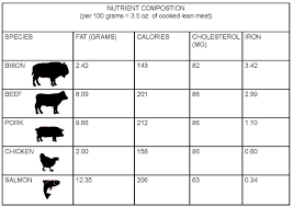 bison burgers grilling recipe nutrition where to buy online