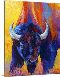 Size frame option & colour. Buffalo Bison Art Buffalo Bison Prints Drawings Great Big Canvas