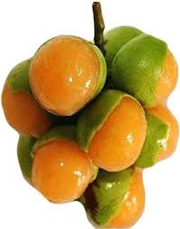 Image result for Melicoccus