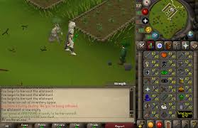Osrs | new recolours for farming pet tangleroot. Farming Pet From Tomatoes Lvl 52 2007scape