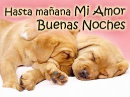 Mensajes De Buenas Noches Mi Amor Con Animalitos Las Mejores Imagenes Online En 2020 Imagenes De Buenas Noches Desear Buenas Noches Frases Tiernas De Buenas Noches