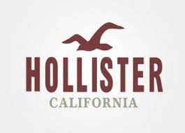 Hollister Deals Hollister Logo Hollister Logo Sticker