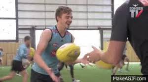 Search, discover and share your favorite alastair clarkson gifs. 8 Marty Reppin Gleeson On The Rookie List Dustin Fletcher Hangar Bomberblitz